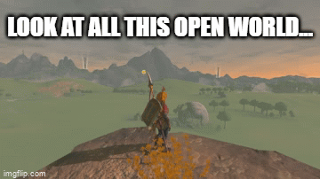 Circling GIF of Link in Zelda Tears of the Kingdom. 