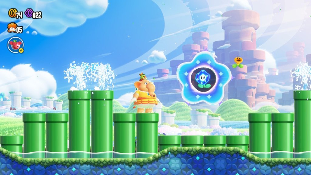 Elephant Daisy staring at Wonde Flower